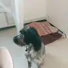 David Cadet - @david.cadet8 - TikTok