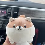 David Cai - @daveeecai - Instagram