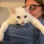 David Caines - @davidmcaines - Instagram