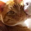 David Calabrese - @davidcalabrese12321 - TikTok
