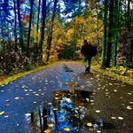David Calderin - @davidcalderinphotography - Instagram
