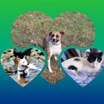 David Calderin - @david.calderin.735 - Instagram