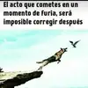 davidcalderin323 - @davidcalderin323 - TikTok