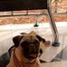 DAVID  caleb - Facebook