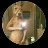 David Caleb - @santiago_0...1 - TikTok
