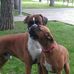 David Calero - Facebook