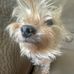 David Cales - Facebook
