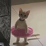 @__david.calico - Instagram
