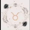 David Calico - @davidcalico638 - TikTok