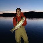 David Callaremi - @david_callaremi - Instagram