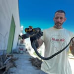 David Calleja Mariscal - @davidcallejaherpetology - Instagram