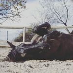 David Callen Hernando - @david_polenino_ - Instagram