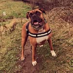 @davidcallery - Instagram
