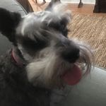 David Callihan - @callihan.david - Instagram