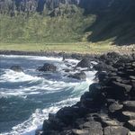 David Callinan - @david.callinan.94 - Instagram