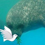 David Calver - @davidhere12345 - Instagram