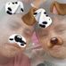 David Carrio - Facebook