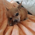 Diana David Camarda - @dianadavidcamarda - Instagram