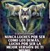 David Cambero - Facebook