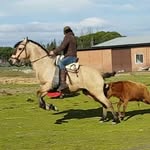 David González - @david.camborio - Instagram