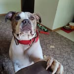 David Cambron - @david.cambron.10 - Instagram