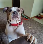 David Cambron - Facebook