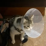David Benito Camela - @benitoelgatitoescalador - Instagram