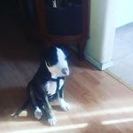David Camfield - @davidcamfield - Instagram