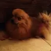 davidcamilleri881 - @davidcamilleri881 - TikTok