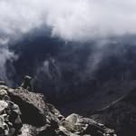david camins - @david.kmns - Instagram