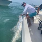 David Campion - @david_campion - Instagram