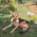 David Campo - Facebook