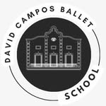 David Campos Ballet Barcelona - @escuelaballetdavidcampos - Instagram