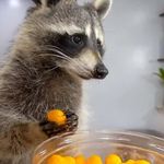 David Campoy Gómez - @davidcampoygomez - Instagram