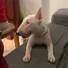 DAVIDCAMPOY88 - @davidcampoy88 - TikTok