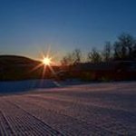 David Canfield - @canfield.david - Instagram