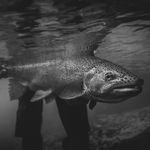 David Cannon - @davidcannonoutdoors - Instagram