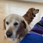 @davidcanning_ - Instagram