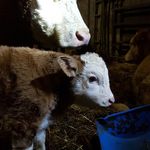 David Canning - @david.canning.75248 - Instagram