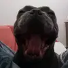 Davide Cappuccio - @davide.cappuccio5 - TikTok