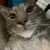 davidcaptain713 - @davidcaptain713 - TikTok