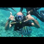 David Caputo - @david.caputo.395 - Instagram