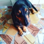Davi Lucas Aparecido Dos Santos Caravelli - @davilucasaparecidodossantos - Instagram