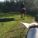 David Carbó - @davidcarbo72 - Instagram