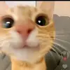 davidcarbone07 - @davidcarbone07 - TikTok