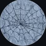 @davidcarbonee - Instagram