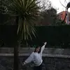 David Cardarelli - @carda_333 - TikTok