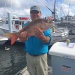 David A Cardella - @davidacardella - Instagram