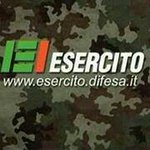 David Cardi - @david_cardi - Instagram
