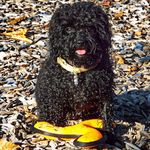 David Cardillo - @dlcmot_mrmotivations - Instagram